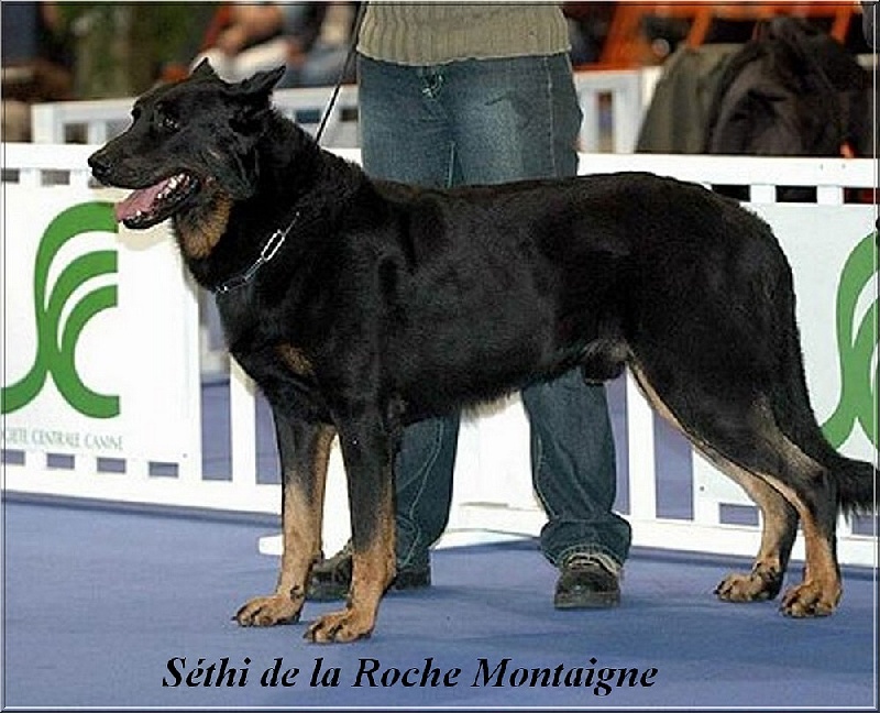 Sethi de la Roche Montaigne CSAU