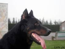 Solido du Moulin de Soulage CSAU Agility3