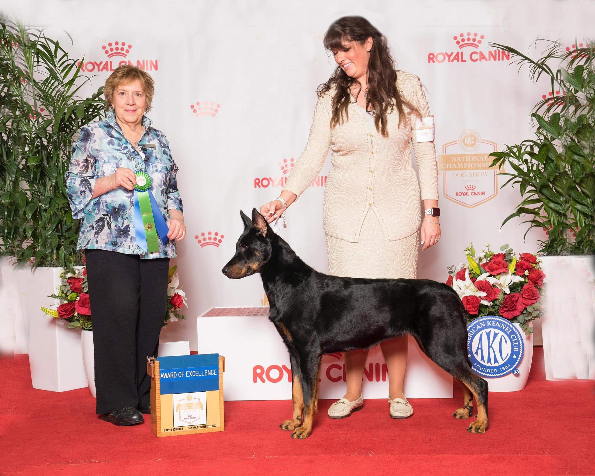 GCH CH Eagle Valley Sauvage Coeur de Alaska FDC CAA BCAT CGCA CGCU TKA ATT VHMA FITB
