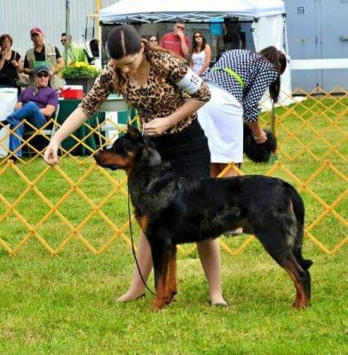 GCH CH Glacier Bleue Souers Jumelles